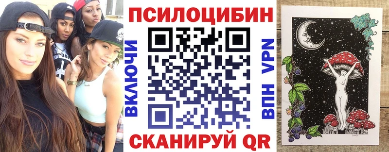 mega ONION  Дрезна  Псилоцибиновые грибы Magic Shrooms 
