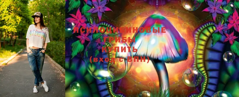 Галлюциногенные грибы Psilocybine cubensis  ОМГ ОМГ как зайти  Дрезна 